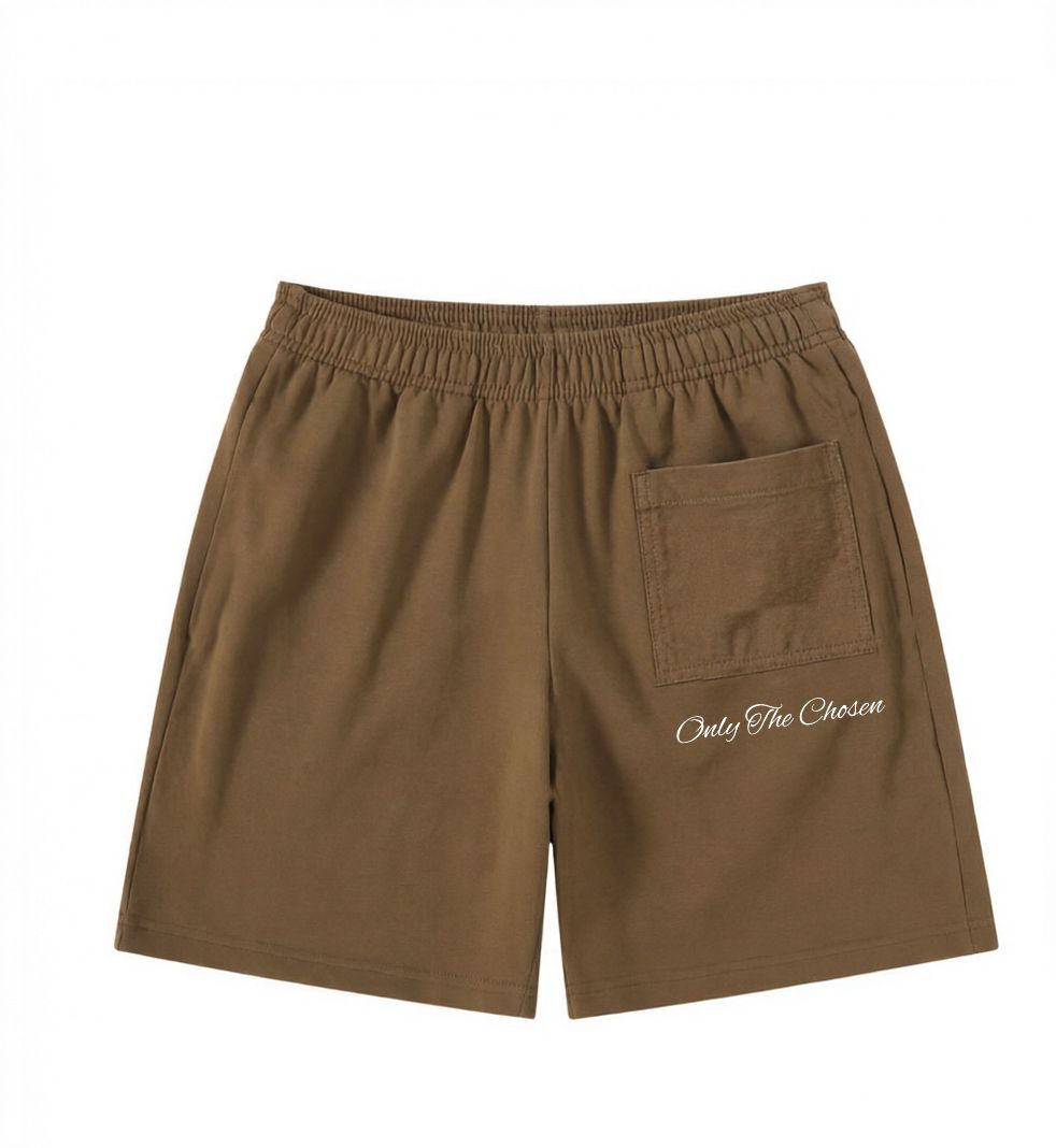 Title:  Brown Shorts — Aureus Drop 002